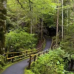 & Hotel Blausee