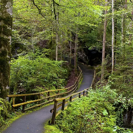 Hotel&spa Hotel Blausee